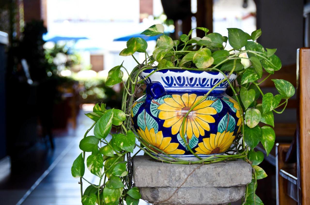 Hotel Hacienda Vallarta - Playa Las Glorias Puerto Vallarta Zewnętrze zdjęcie